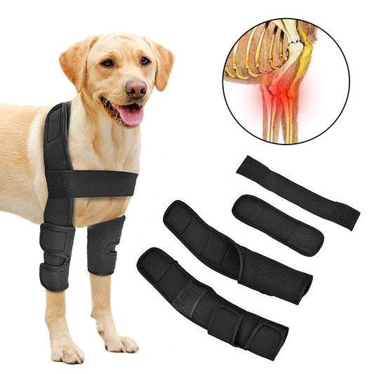 Pet Leg Support